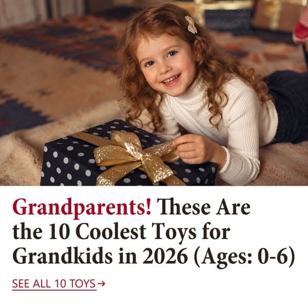 The Toy Guide Every Grandma Needs 👵