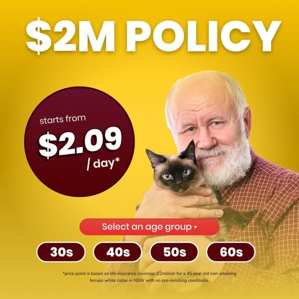 Compare & Switch Today!