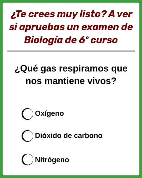 Prueba el Test de Biología de la Escuela Primaria 🚗