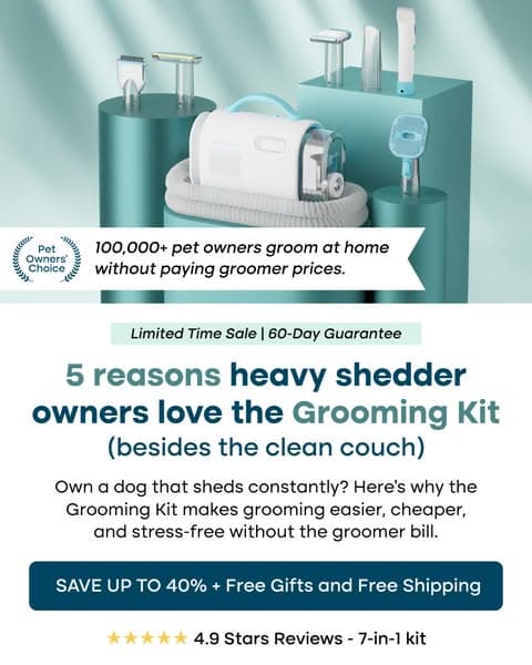 Struggling with Pet hair? Not for long!