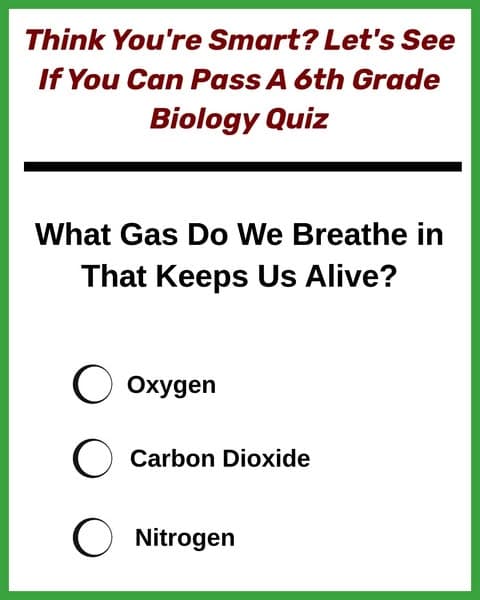 We Know You Can't Complete This Elementary School Biology Quiz