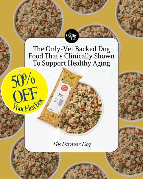 Why Our Editors Recommend The Farmer’s Dog (Now 50% Off)