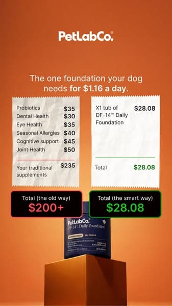 Replace $200+ In Dog Supplements With 1 Scoop