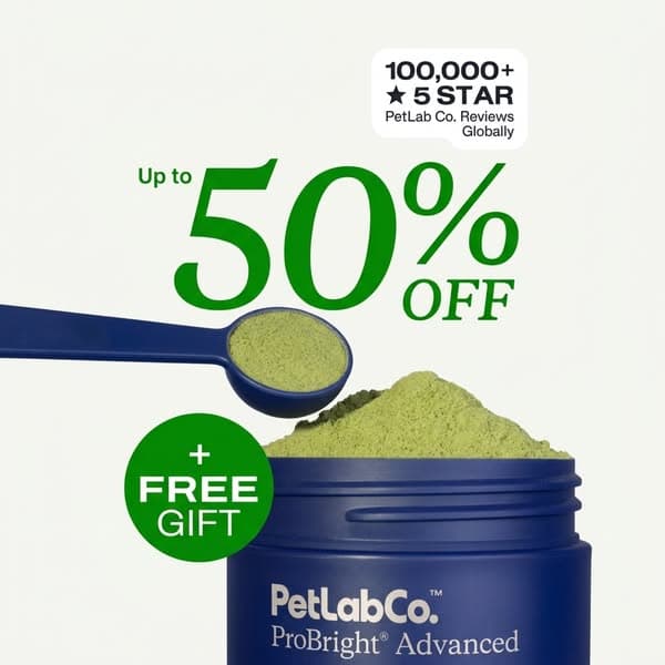 Get up to 50% OFF + FREE Gift today 👉