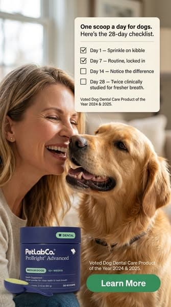 Keep their teeth clean WITHOUT a toothbrush!