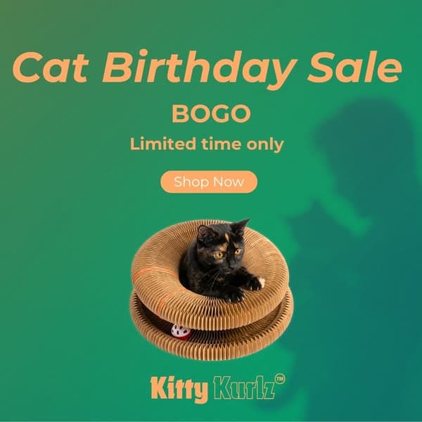 BOGO Birthday Treat