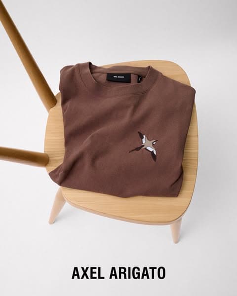 Discover our signature Bee Bird