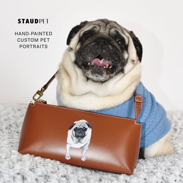 CUSTOM STAUD X C.BONZ PET COLLECTION