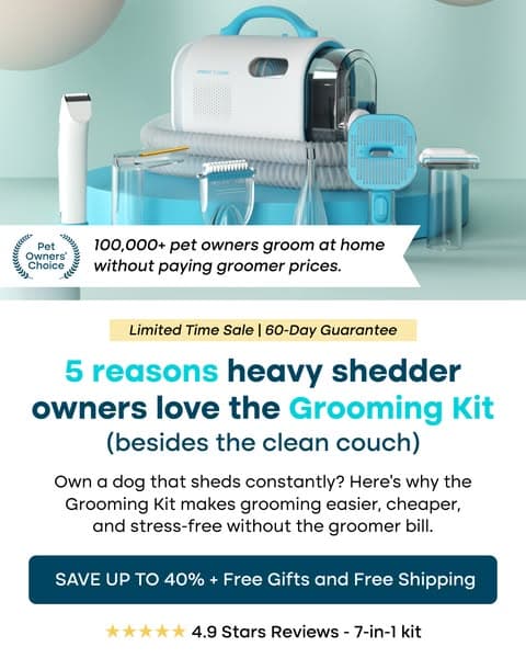 Struggling with Pet hair? Not for long!