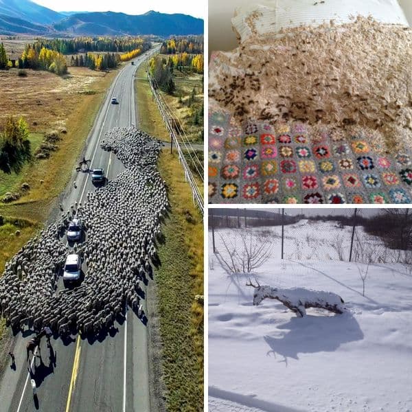 32+ Photos Of The World Like We're Not Used To Seeing It