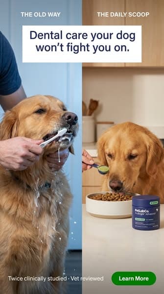 Keep their teeth clean WITHOUT a toothbrush!