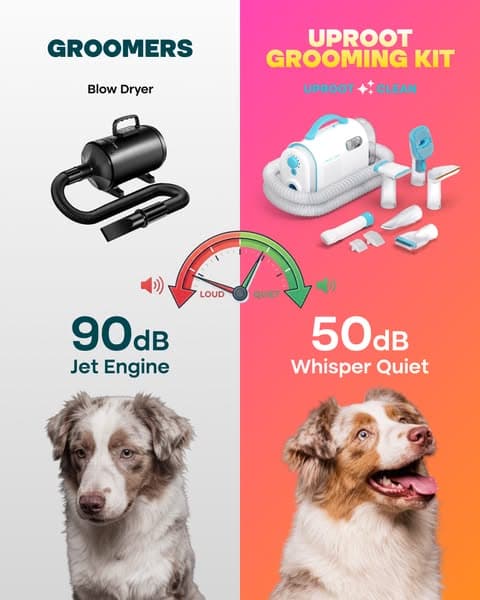 Struggling with Pet hair? Not for long!