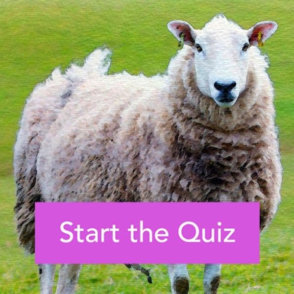 Can You Name These Common Farm Animals?