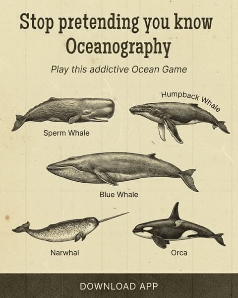 🔬 Biology, but Bite-Sized!