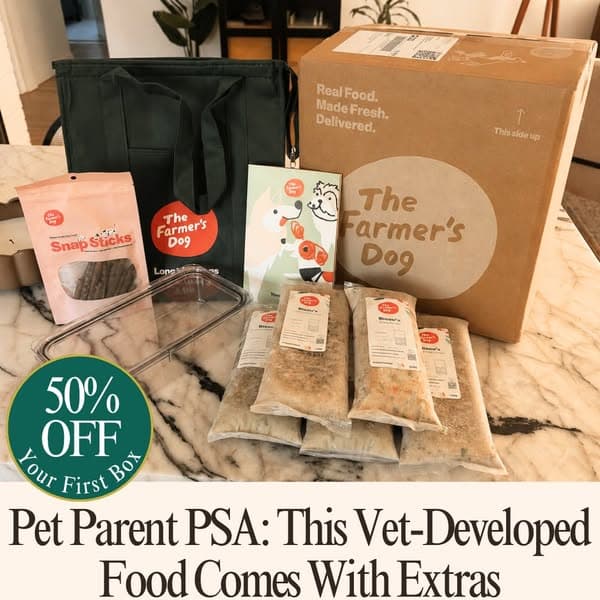 Vet-Developed Peace of Mind: 50% Off The Farmer’s Dog
