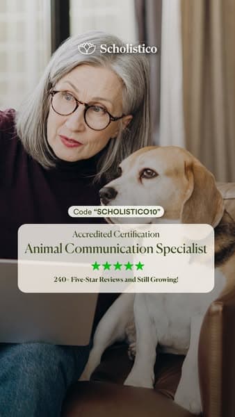 Unlock Animal Secrets with Certified Expertise