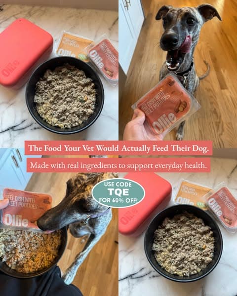 Vet-Approved Pup Nutrition