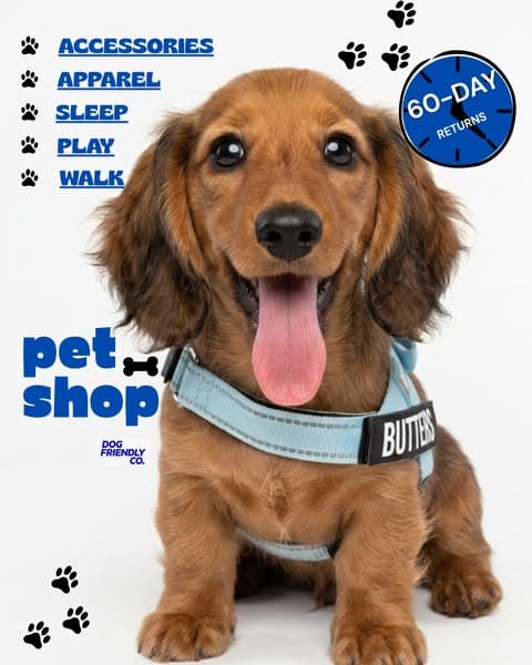 Rated #1 By Dog Owners