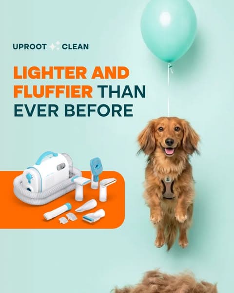 Struggling with Pet hair? Not for long!