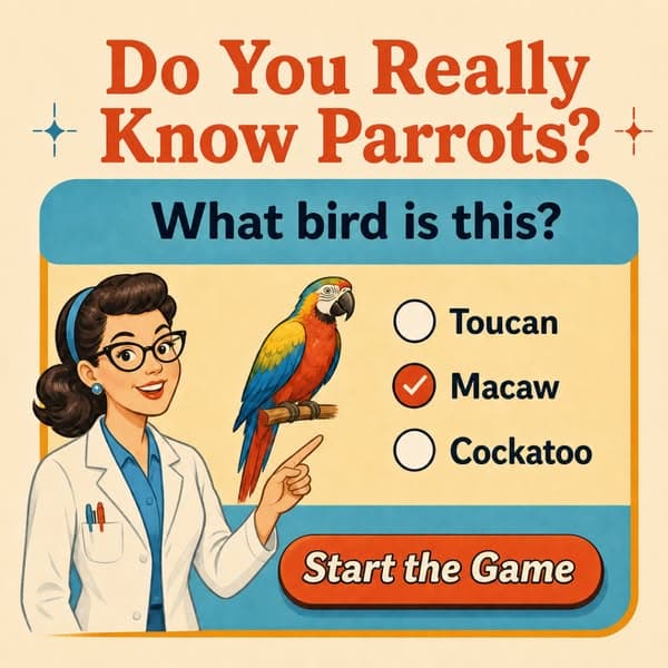 🕊Ornithology, but Bite-Sized!