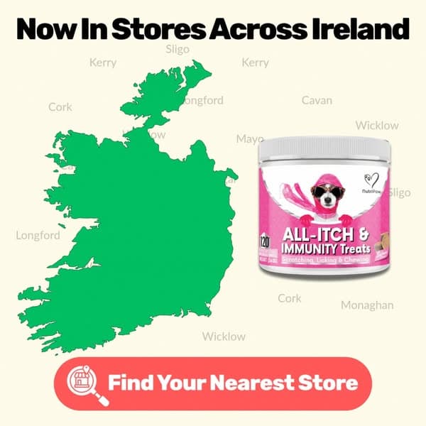 📍 Find Your Nearest Store