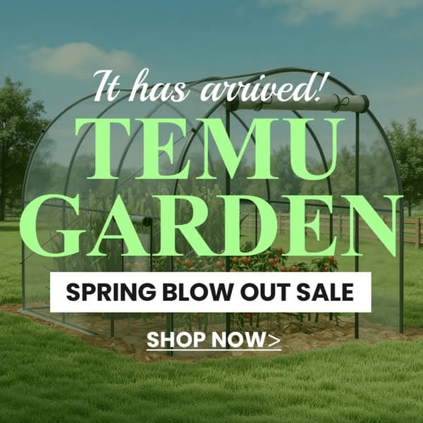 Temu | Explore the Latest Clothing, Beauty, Home, Jewelry & More