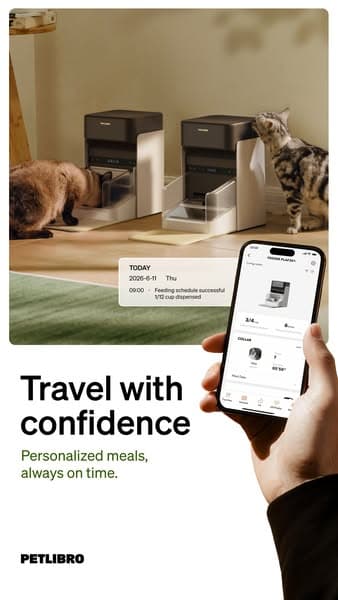 Travel with confidence