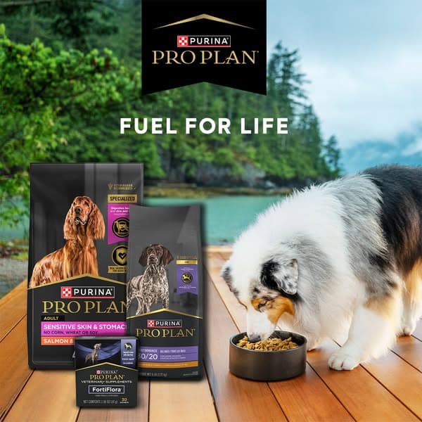 FUEL FOR LIFE