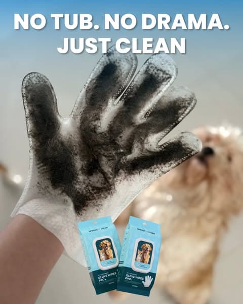 Effortless Grooming & a Shiny Coat with Uproot Grooming Gloves Pro!