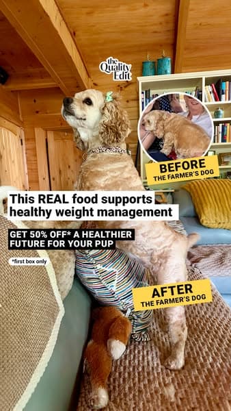 Vet-Developed Peace of Mind: 50% Off The Farmer’s Dog