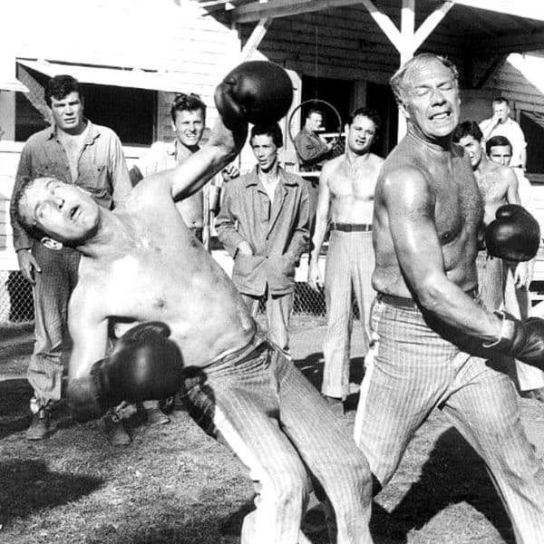 Sordid History Behind 'Cool Hand Luke' Is Finally Coming To Light Years Later