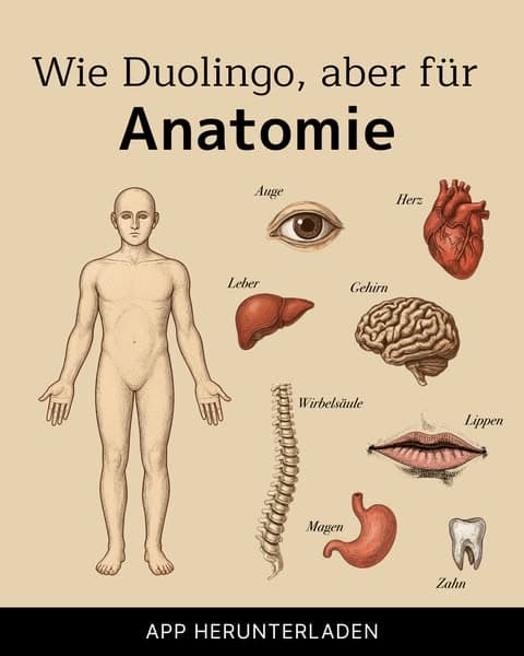 🔬 Biologie – aber in kleinen Häppchen!