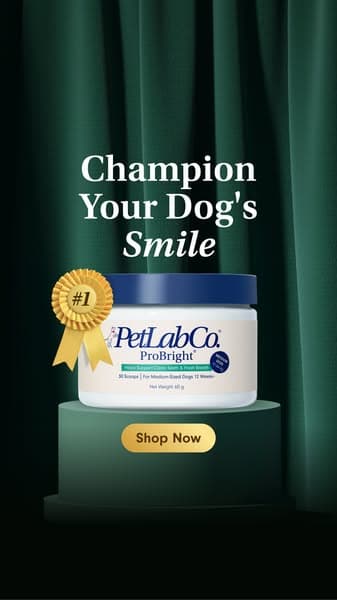 🏆 ‘Best in Show’ Offer: Up To 50% Off This Week Only