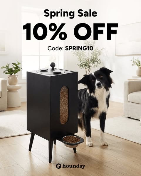 Spring Sale: 10% Off with Code SPRING10
