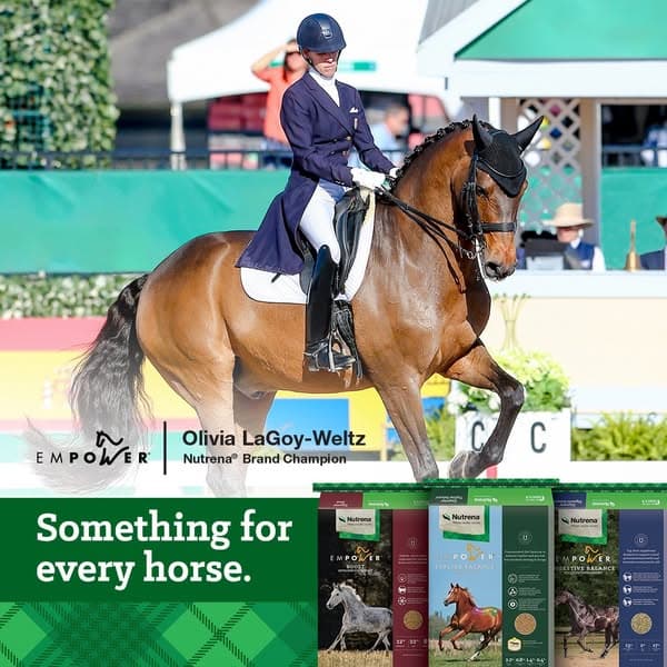 Empower Your Dressage Horse