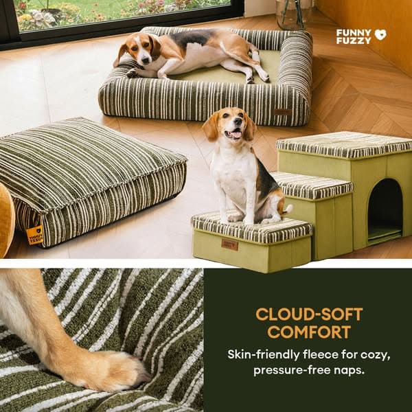 Cozy Fabric Pets Love, Storage You Need