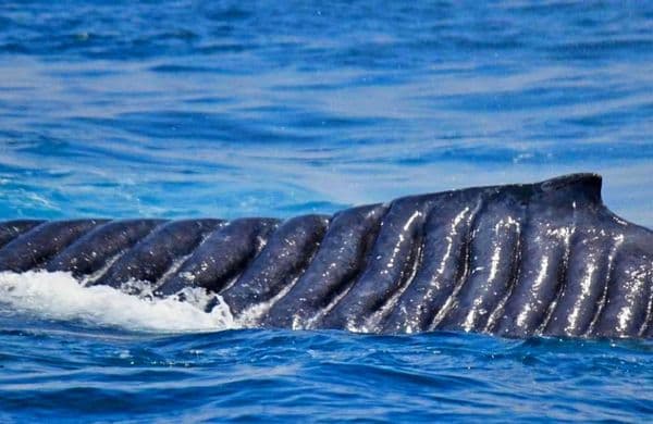 These Drone Photos Show The True Face Of Mother Nature