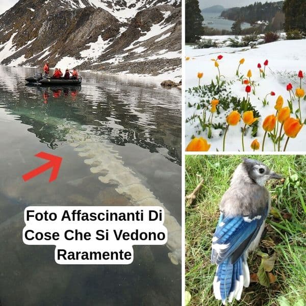 39+ Foto Accattivanti Di Cose Raramente Riprese