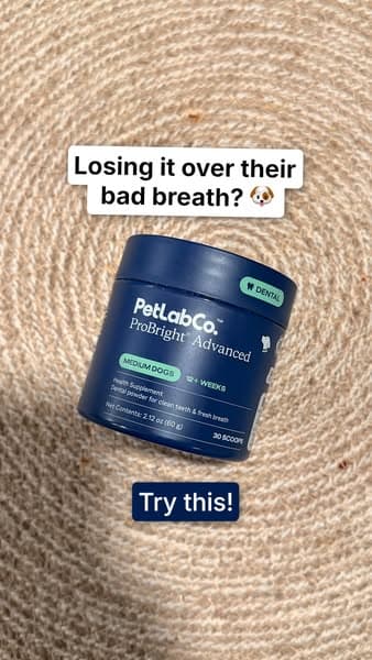 How to get kiss-friendly dog breath!