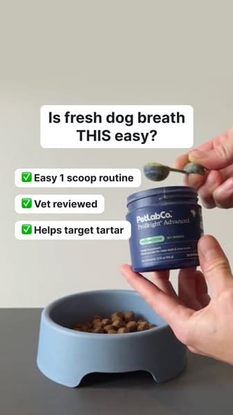 Fresher dog breath – No toothbrush required!