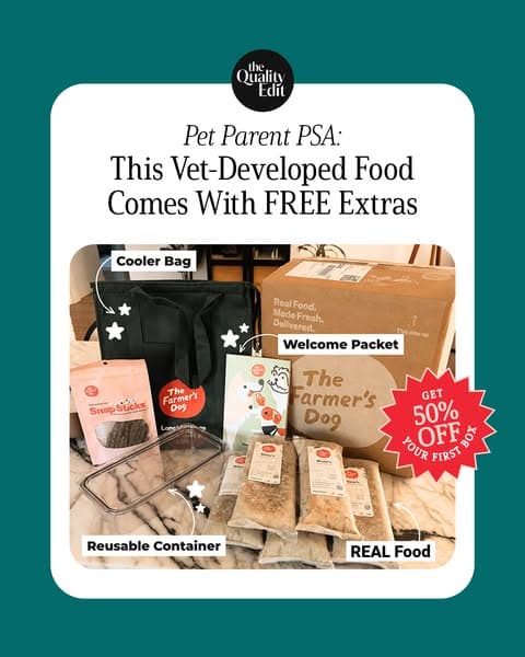 Vet-Developed Peace of Mind: 50% Off The Farmer’s Dog