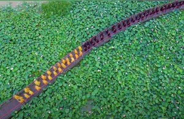 Drone Takes A Photo That Nobody Should Have Seen