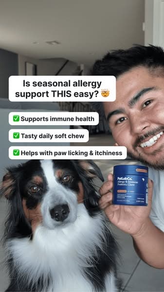 Allergy Support, Made Simple