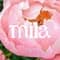 HEY MILA