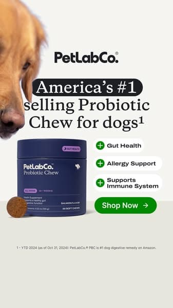92% of Dogs Love It From Day One