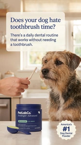 Keep their teeth clean WITHOUT a toothbrush!
