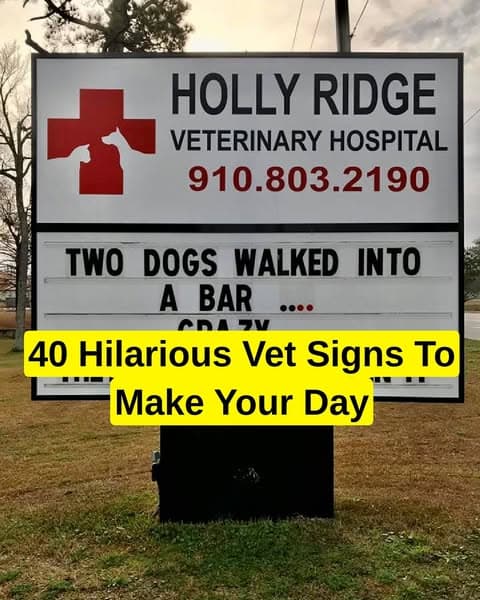 Funny Signs From This Clinic Make A Trip To The Vet More Paw-sitive