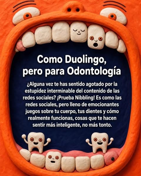 ¡Anatomía en versión mini!