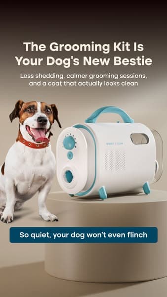 Struggling with Pet hair? Not for long!