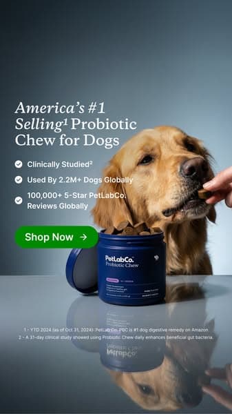 Finally a dog probiotic soft chew really built by science